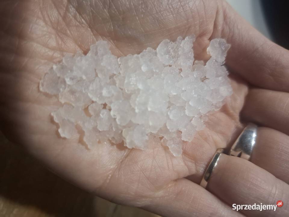 Algi japońskie kefir wodny 30 g