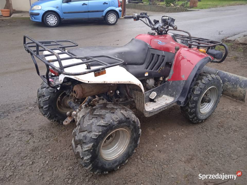 Quad linhai 260 z wyciągarka i pługiem Sękowa