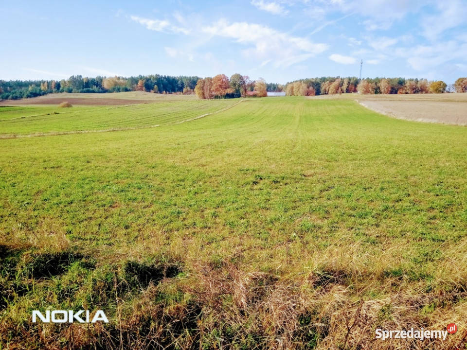 MazuryStare Juchy Działka 7500m 37 złm2 Sprzedaż Sprzedaż Stare Juchy