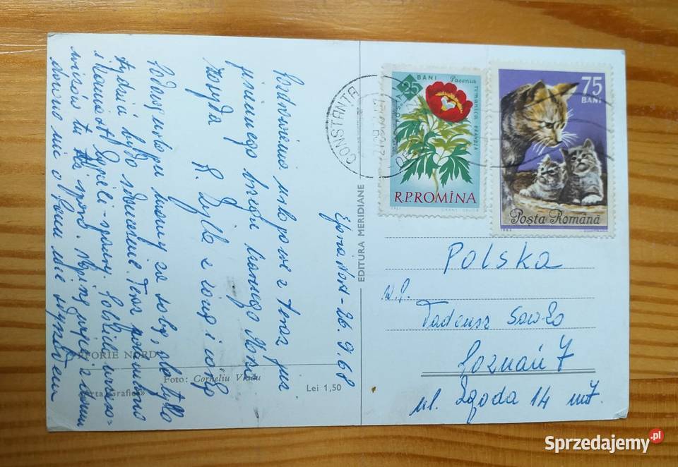 EFORIE NORD BRZEG MORZA CZARNEGO I PLAŻA Piszczac