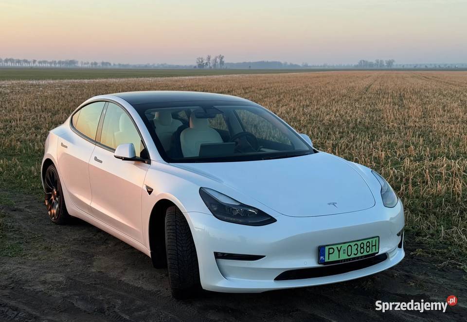 Tesla Model 3 Poznań