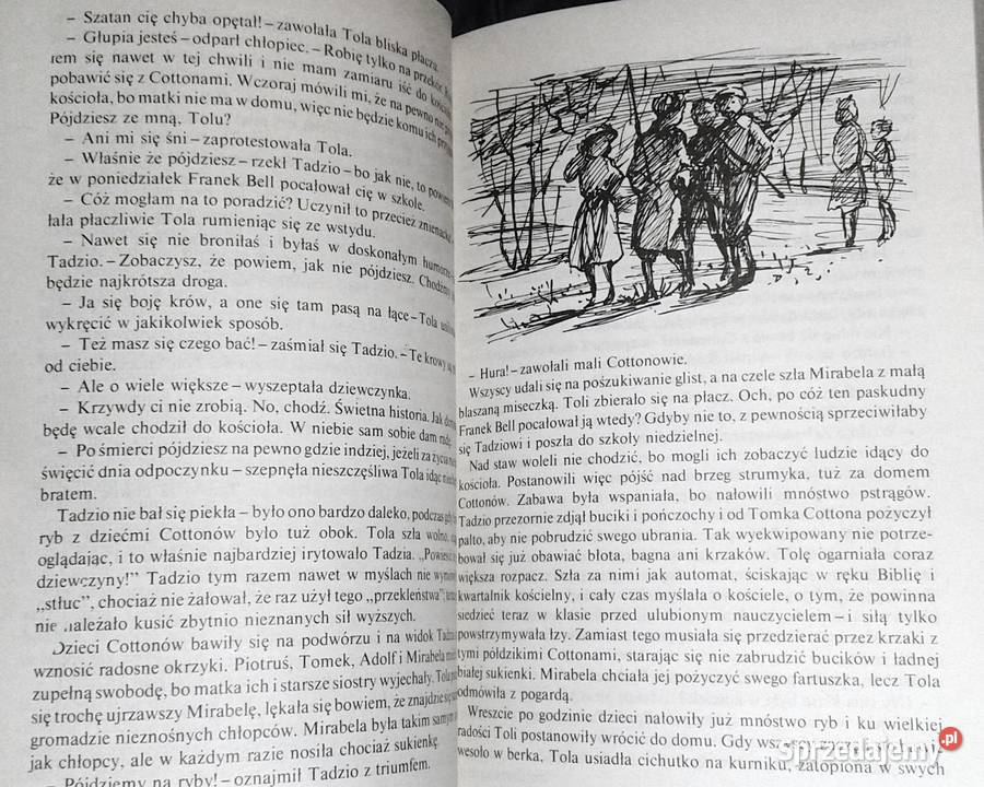 Ania na Uniwersytecie Lucy Maud Montgomery Chełm