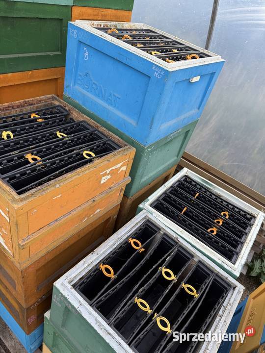 Podkarmiaczki ramkowe Łysoń 4 l wielkopolskie Pszczelarstwo