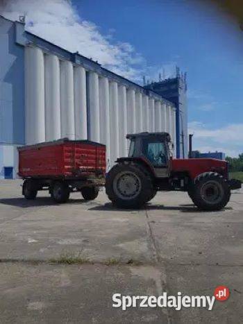 Massey Ferguson 3680 Massey Ferguson Syców