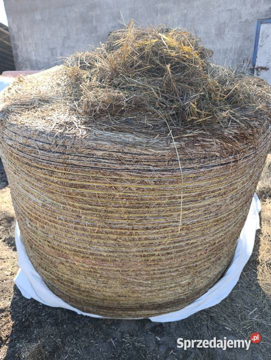 Siano sianokiszonka mazowieckie Ostrów Mazowiecka