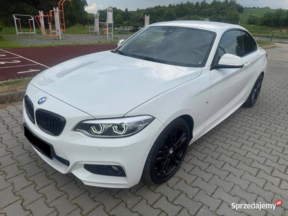 BMW 220i COUPE Salon MPakiet Super Stan małopolskie Słomniki