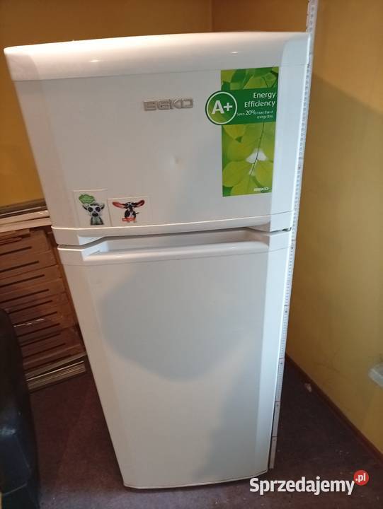 Lodówka Beko w pełni sprawna 50cm Tomaszów Mazowiecki
