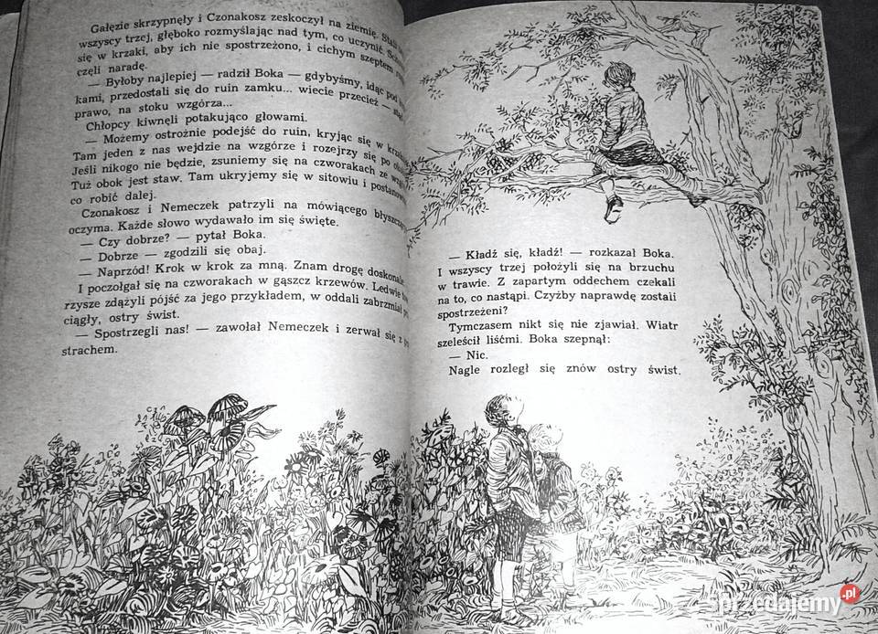 Chłopcy z placu broni Ferenc Molnar Rok wydania 1982 Chełm sprzedam