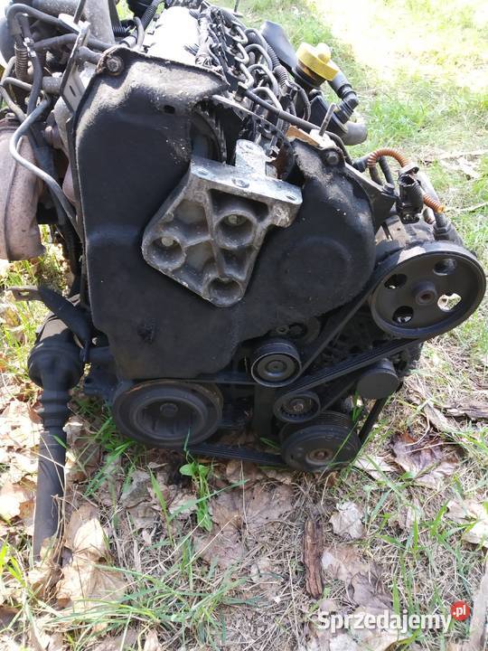Silnik 19 dCi Renault Laguna II pęknięty pas sprzedam