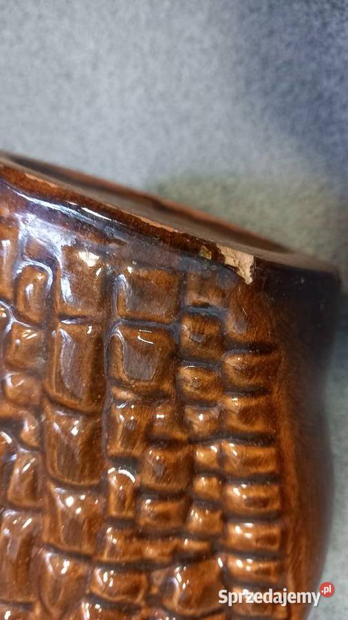 Wazon krokodyl Tychy