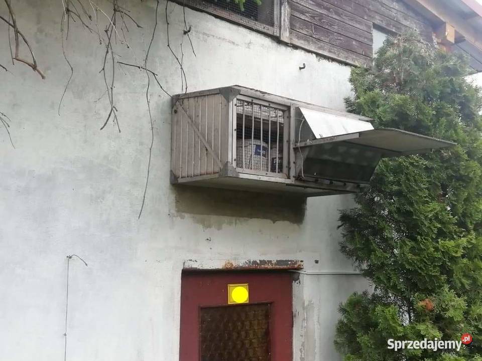 Klapa do gołębnika śląskie sprzedam
