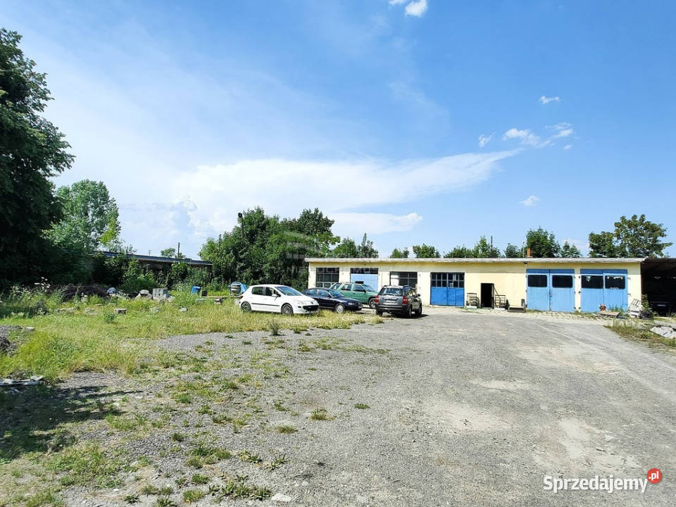 Działka na sprzedaż z budynkami produkcyjnymi Świerszczów-Kolonia