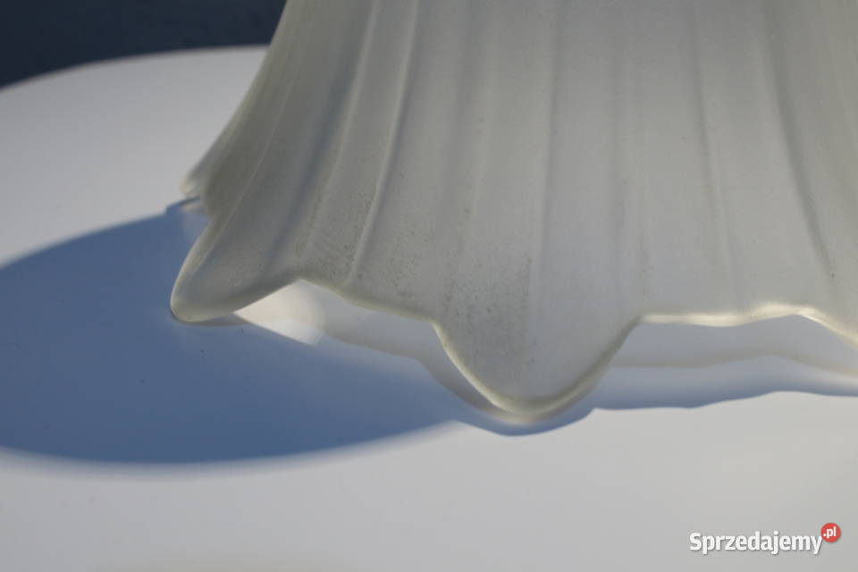 Stary klosz kwiat Wrocław sprzedam