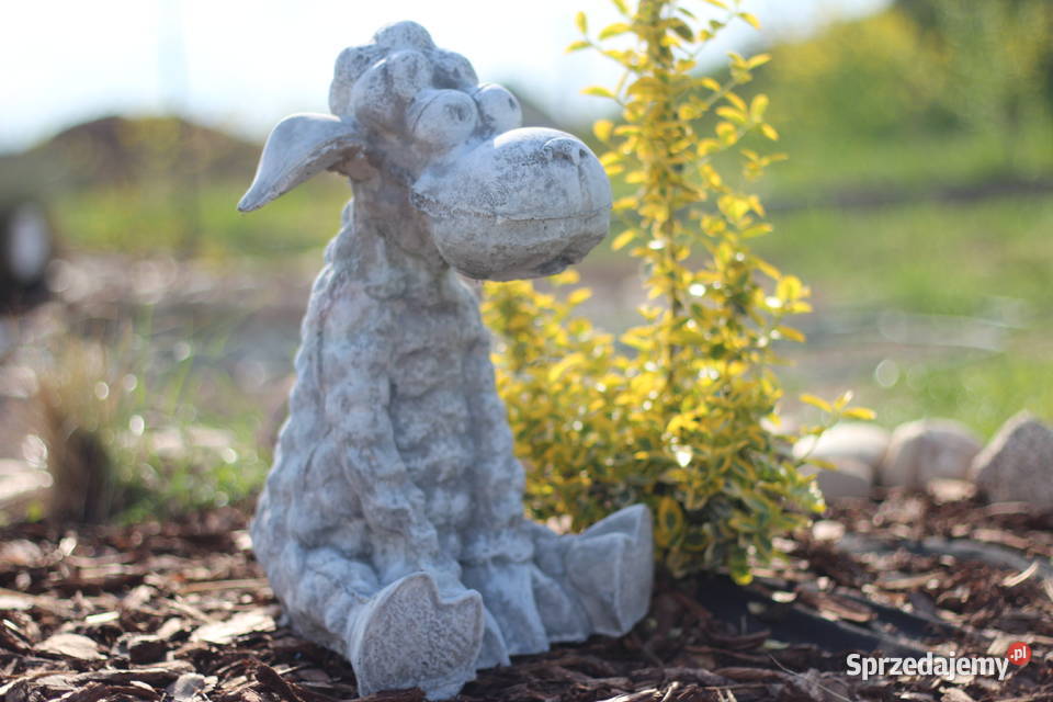 Figury rzeźby ogrodowe betonowe baranek Rzeźby i figury Goliszów sprzedam