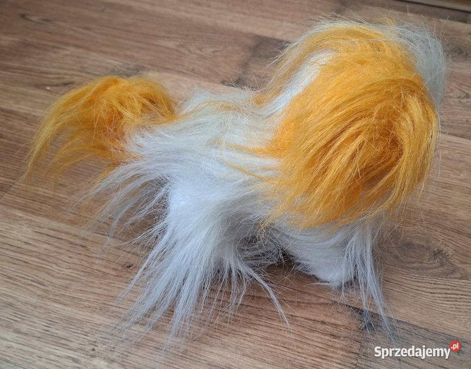 Maskotka tańczący pies Zielona Góra