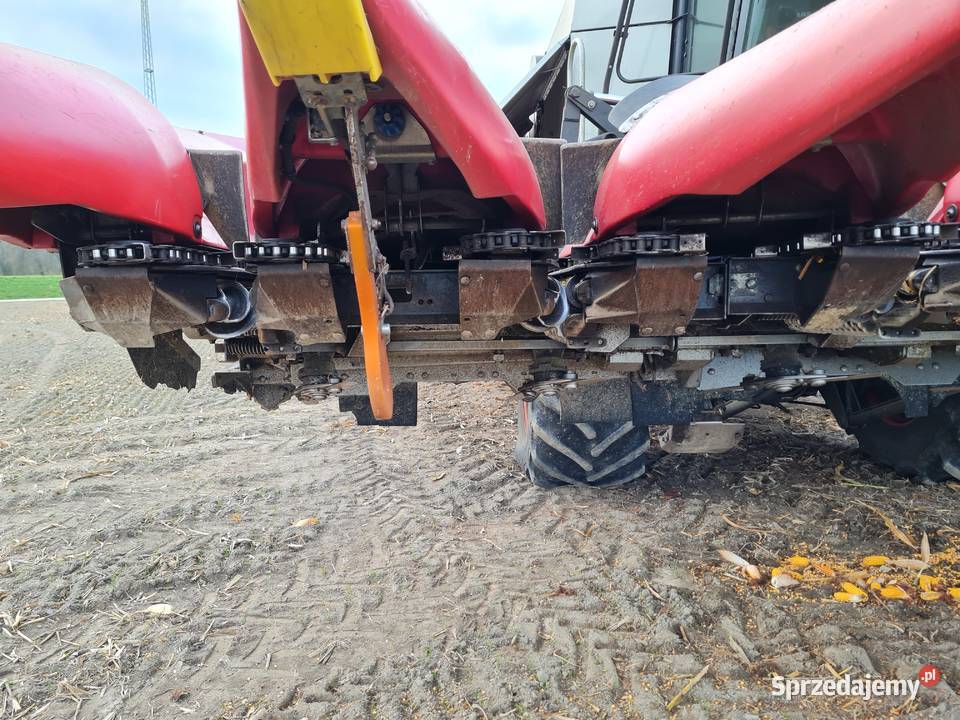 Przystawka do kukurydzy 8 rzędowa geringhoff 8 Branice