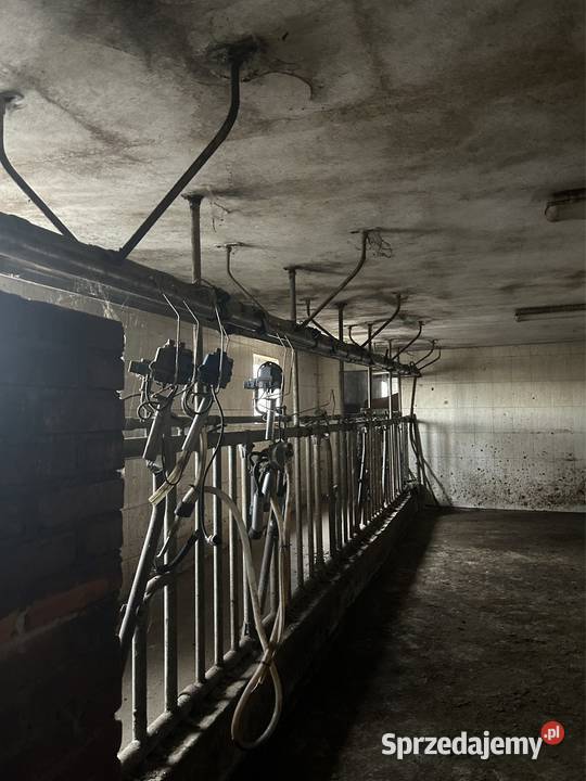 Dojarka Polanes lubelskie Tomaszów Lubelski