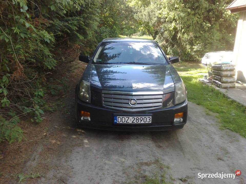 cadillac cts benzyna Korolówka