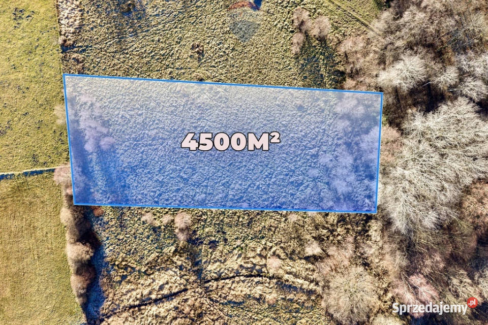 Na sprzedaż działka rolna 4500 m 1216 lubuskie Chełm Żarski
