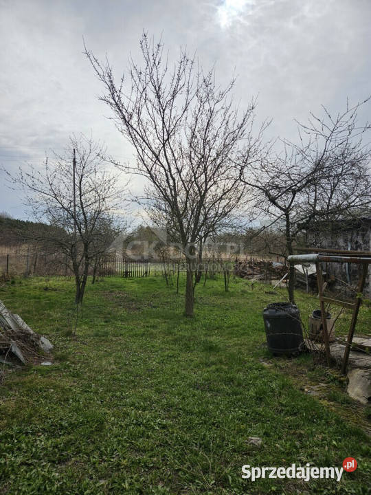 Dom z potencjałem na działce 3000 mJędrzejów wolnostojący Sprzedaż Jędrzejów