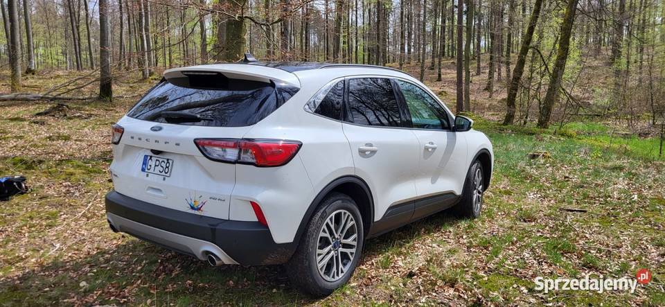 FORD ESCAPE 15 EcoBoost AWD SE 2022R przebieg 47 elektryczne szyby Mojusz