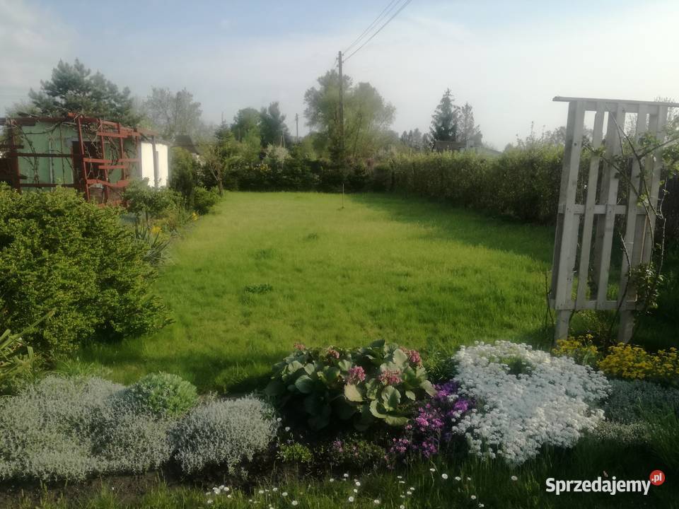 ogródek działkowy Nowa Sól