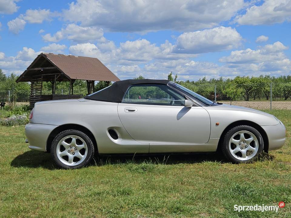 Mg mgf