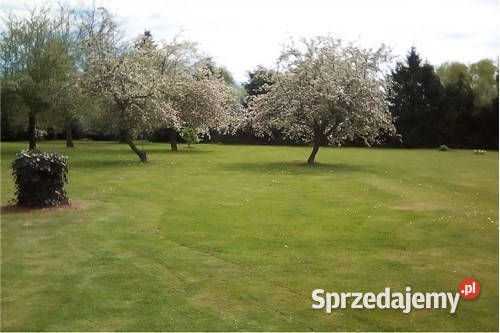 Budynek usługowy mieszkalny działka 2280 m 2475zł/m2 Kończyce Małe