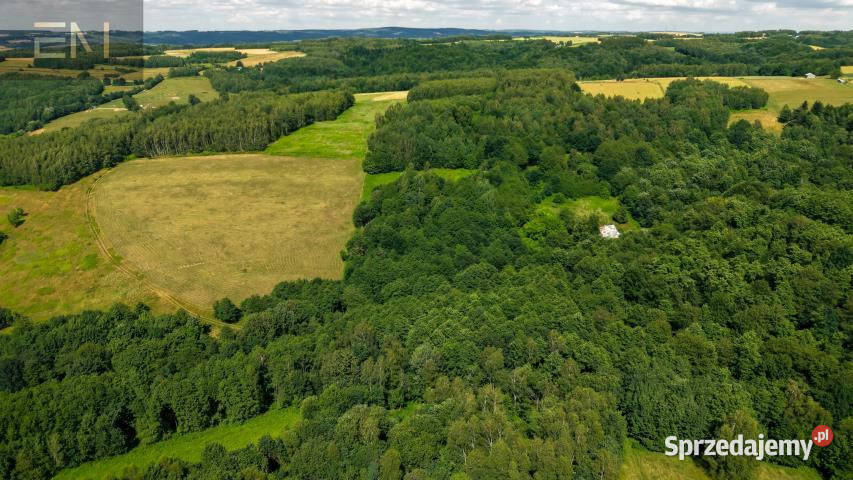 Działka Jaszczurowa 18900m2 podkarpackie