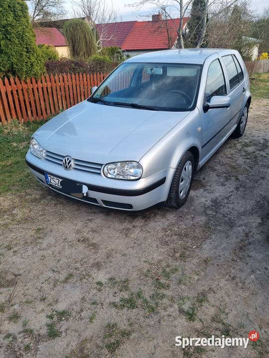 Golf 4 14 Rok produkcji 1999 Piaski