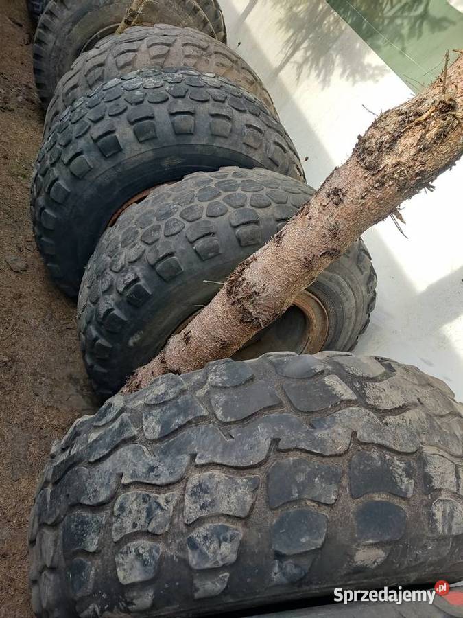 KOŁA do przyczep hl d50 1620 Durdy