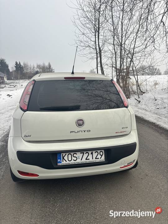 Fiat Punto Evo 13 Diesel możliwa zamiana 1300cm3 Tłuczań