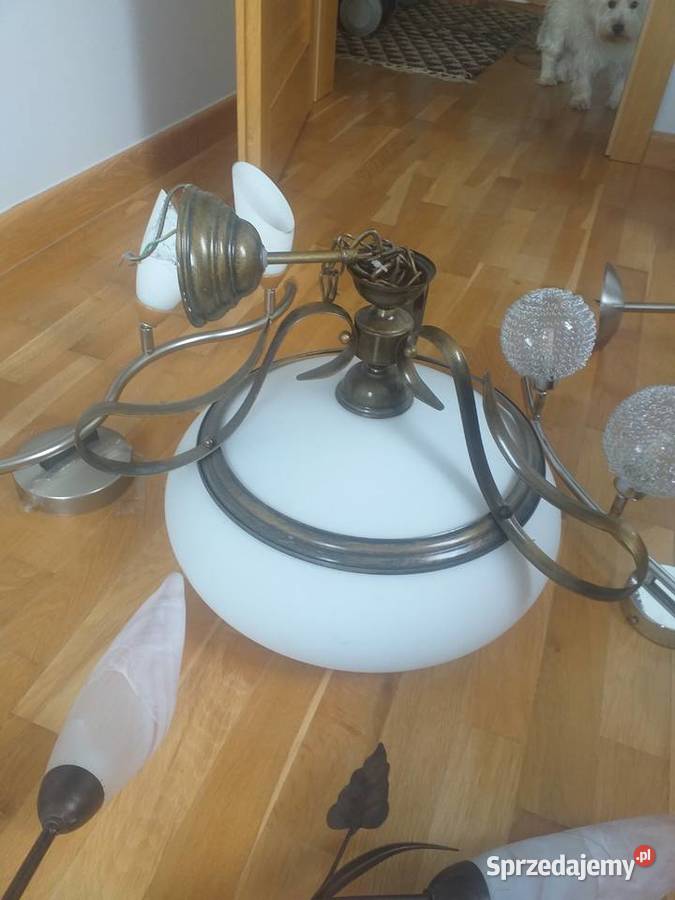 Sprzedam lampy pokojowe różne Oświetlenie sprzedam