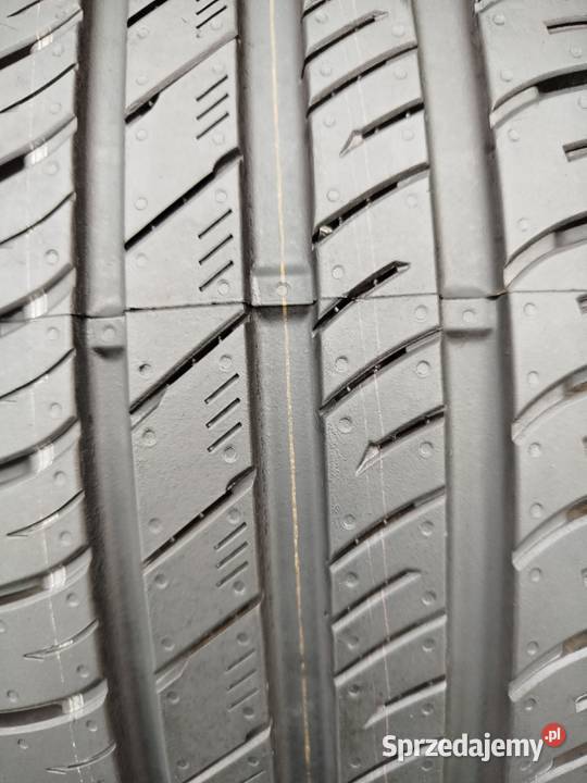 A308 Opony DEMO Letnie 2055516 Nexen 55 Bąków