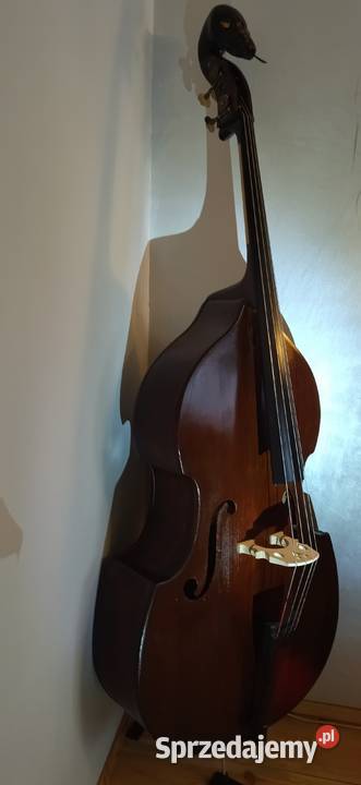 Kontrabas 44 Pyton z Filharmonii Lwowskiej Jędrzejów