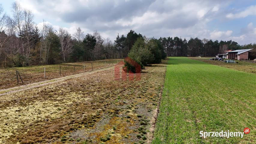 Ogłoszenie grunt 443m2 Czarna Sędziszowska podkarpackie sprzedam