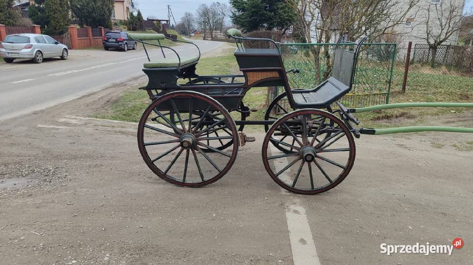 bryczka konna Tomaszów Lubelski