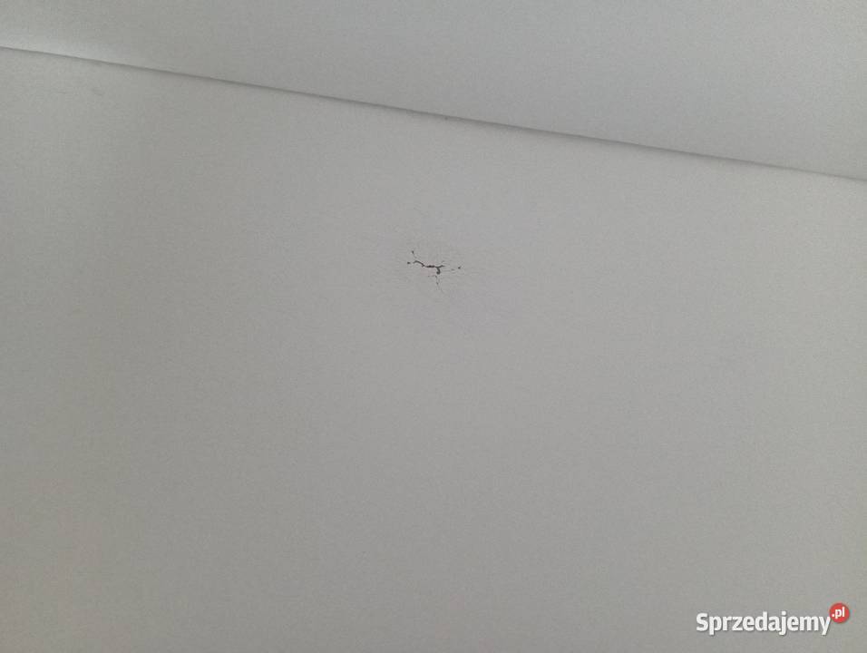 Narożnik łóżko z funkcją spania ok 253 x ok 155 Narożniki