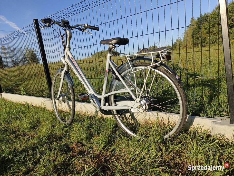 rower Elektryczny BATAVUS Fuego EGo Ołpiny