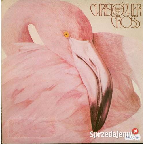 Christopher Cross Another Page