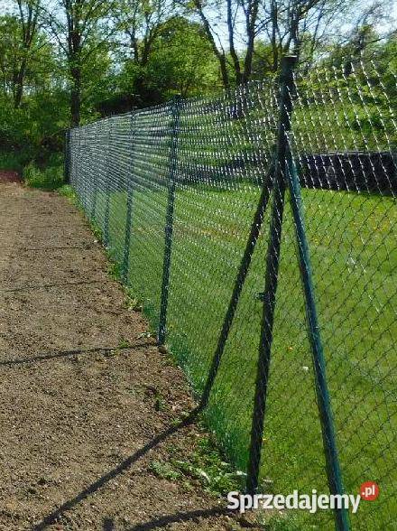 Siatka ocynkpcv 231mm 15m 14 mb I Słupki 2m 31