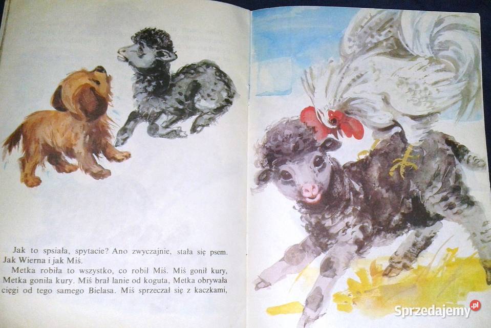 Czarna owieczka Jan Grabowski Rok wydania 1989 Chełm