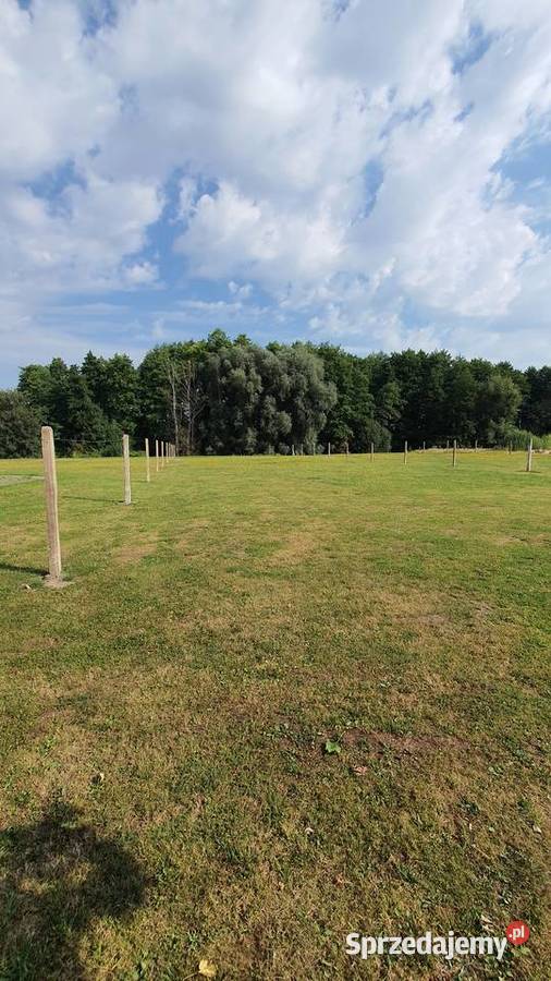 Działka 2504 m2 Woda Miejska Energia Światłowód Długołęka sprzedam