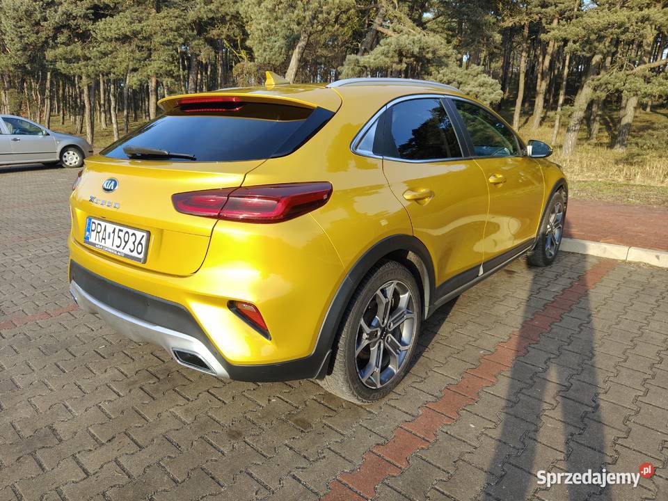 Kia XCeed 16 crdi 2020 salon Polska Rawicz