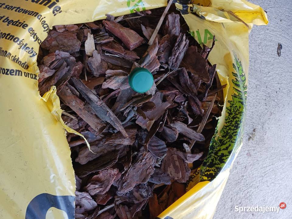 Kora sosnowa średnia 80L Kraków