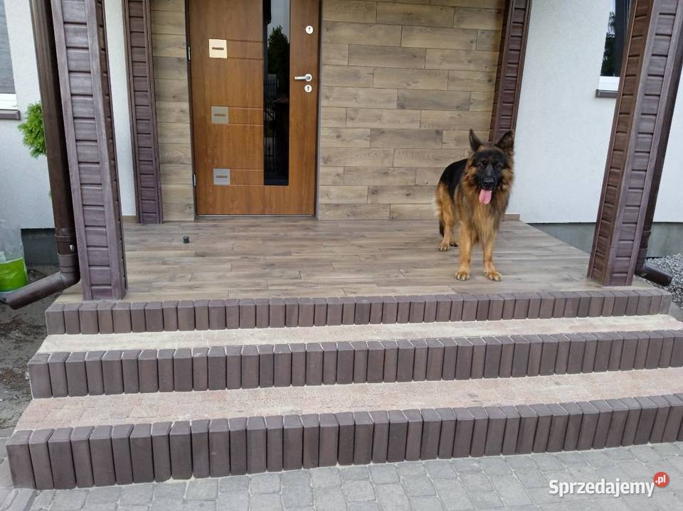 Okazja kostka palisada ring betonowa okrągła sprzedam