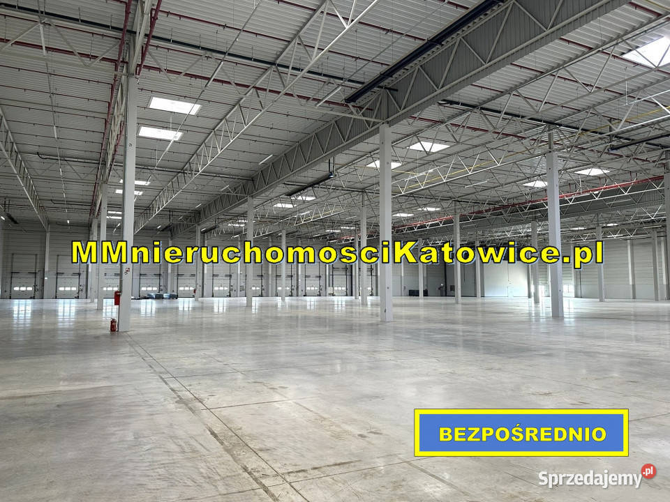 Lokal na wynajem Piotrków Trybunalski 10400m2