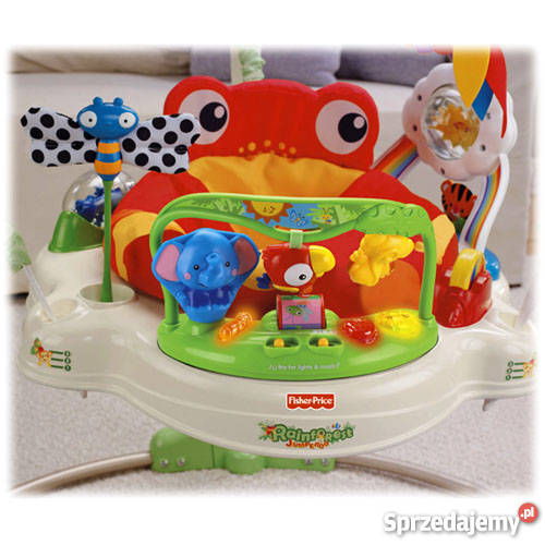 fisher rainforest skoczek tropikalny las opakowa