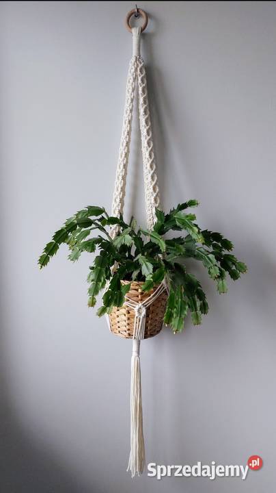 Kwietnik ze sznurka makrama Baranów