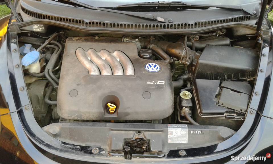 VW Beetle bogata wersja skóra światła przeciwmgłowe Wyskoki